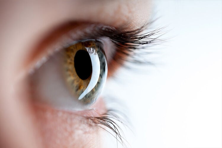 15 interesting facts about the human eye