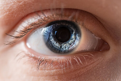 blog-article-thumbnail-image