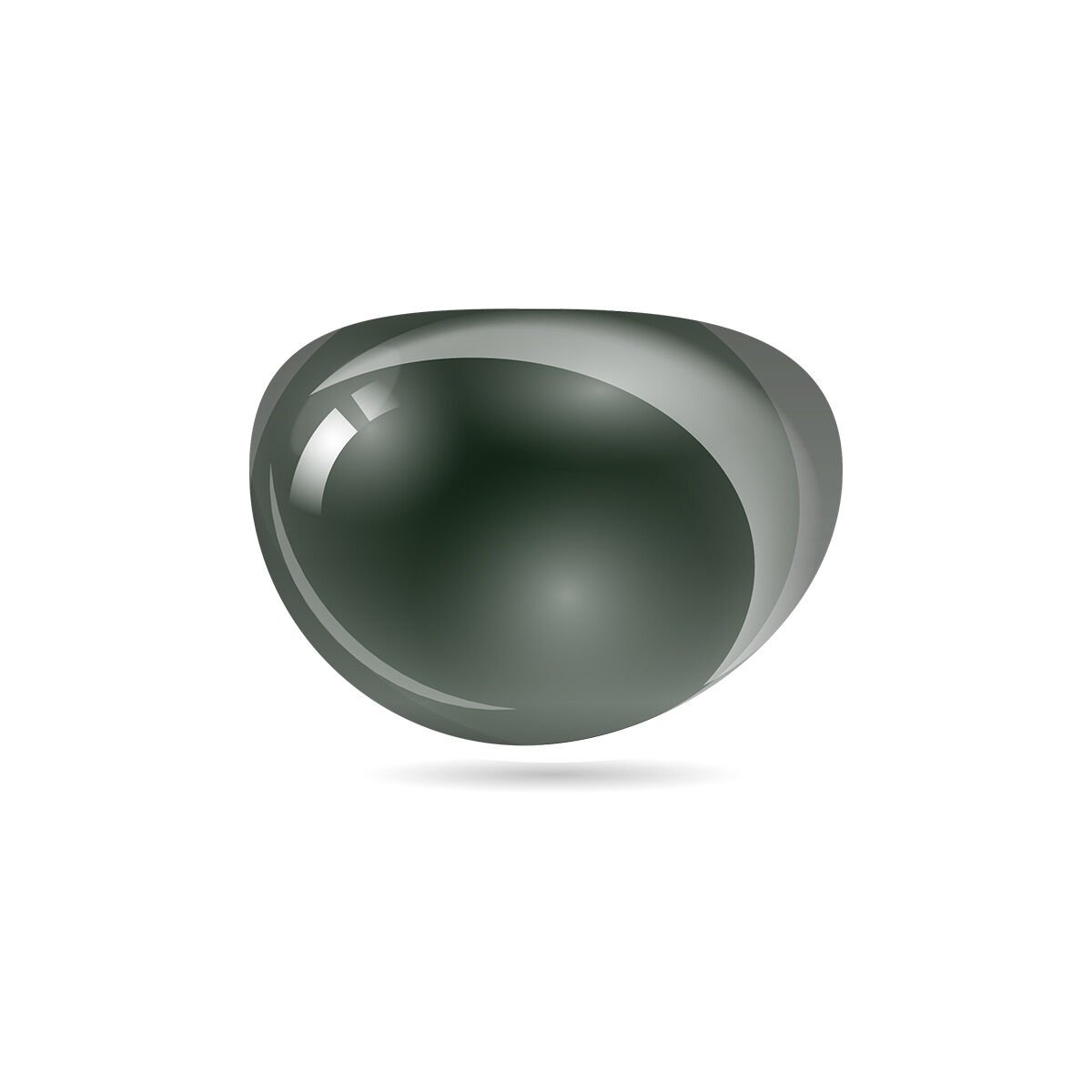 POLARIZED (POLYCARBONATE)