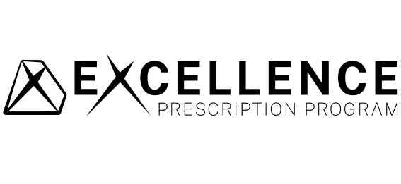 Excellence logo