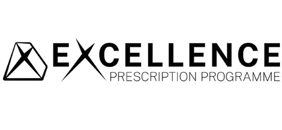 Excellence logo